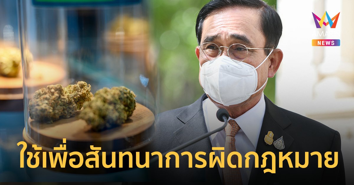 นายกฯ เตือนเข้ม! ขายกัญชาต้องมีใบอนุญาต ใช้เพื่อสันทนาการผิดกฎหมาย