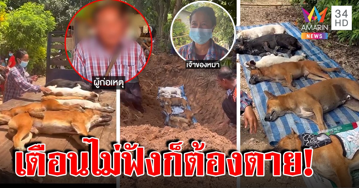 วางยาหมานับ 10 ลุงเจ้าของไร่สุดทน เตือน 3 รอบไม่ฟังขอฆ่าทิ้ง เจ้าของโฮฉะอำมหิต (คลิป)