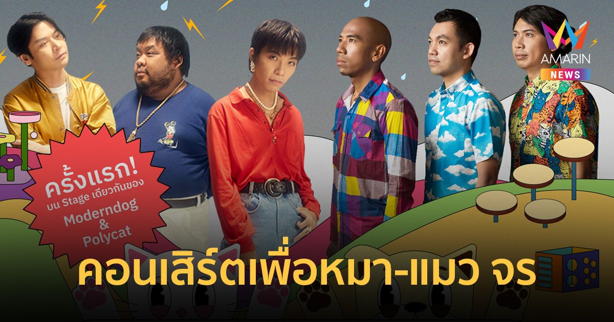 ครั้งแรก MODERNDOGxPOLYCAT ระเบิดมันส์ ในคอนเสิร์ต RAINING CATS & DOGS