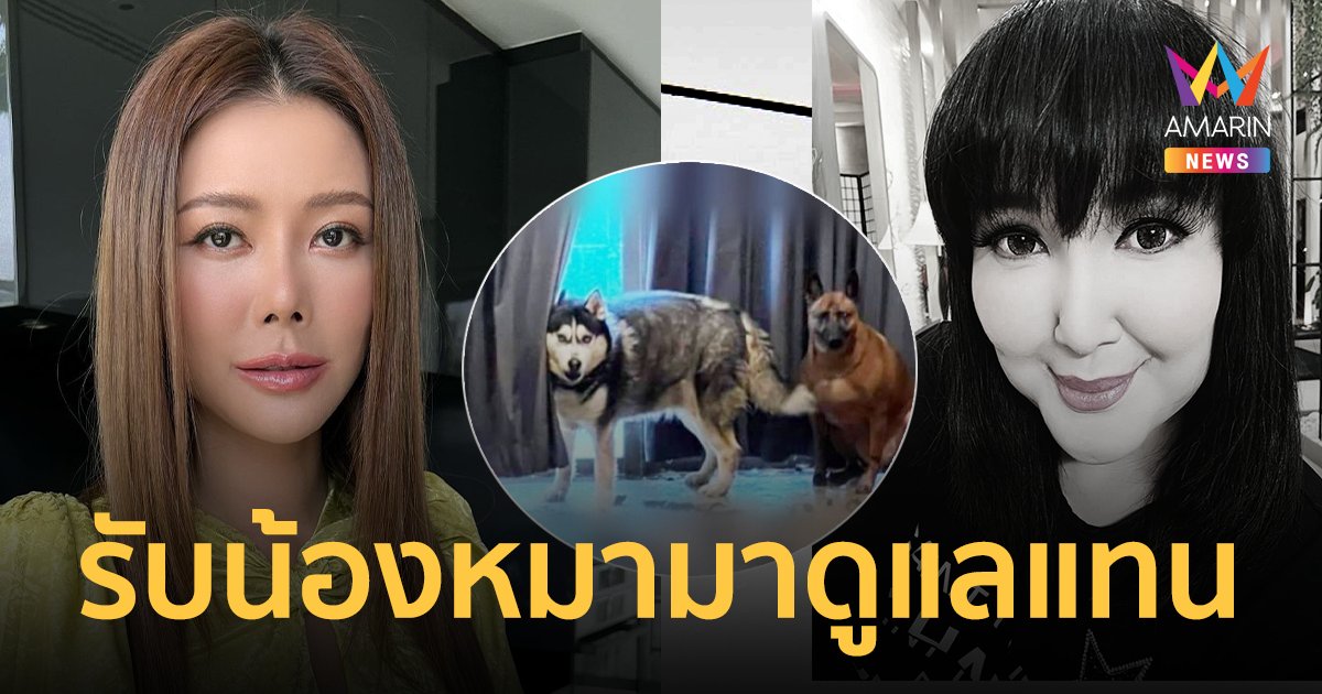 "เก๋ ชลลดา" รับหมาของ "ซันนี่ ยูโฟร์" มาดูแลแทน ขอให้พี่หลับให้สบาย