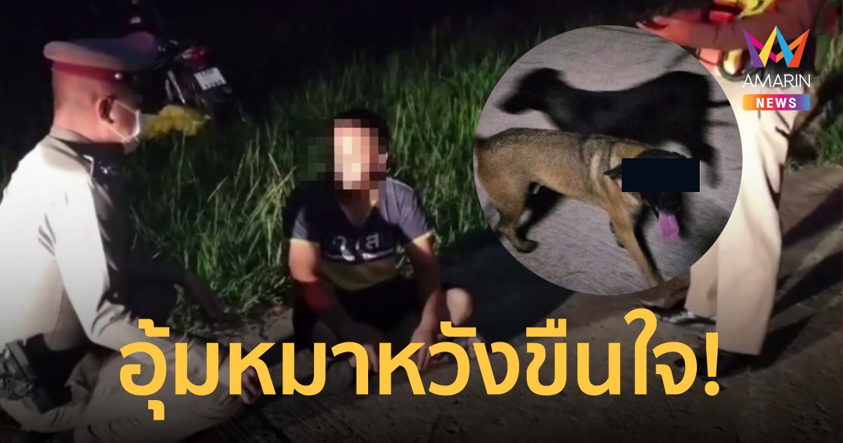 รวบหนุ่มใจเปลี่ยว อ้างแฟนสาวเย้ายวนไม่ร่วมรัก มาจับหมาข้างทางข่มขืนแทน