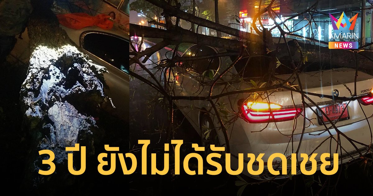 หนุ่มร้องต้นไม้ กทม. ผุหักโค่นทับรถ ผ่านไป 3 ปี ยังไร้หน่วยงานรับผิดชอบ
