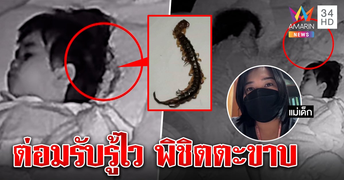 ระทึก ตะขาบจ่อฝังเขี้ยวบนหัวเด็ก เจอฤทธิ์ยายต่อมไว ถูกตัวปั๊บจับฆ่าปุ๊บ (คลิป)