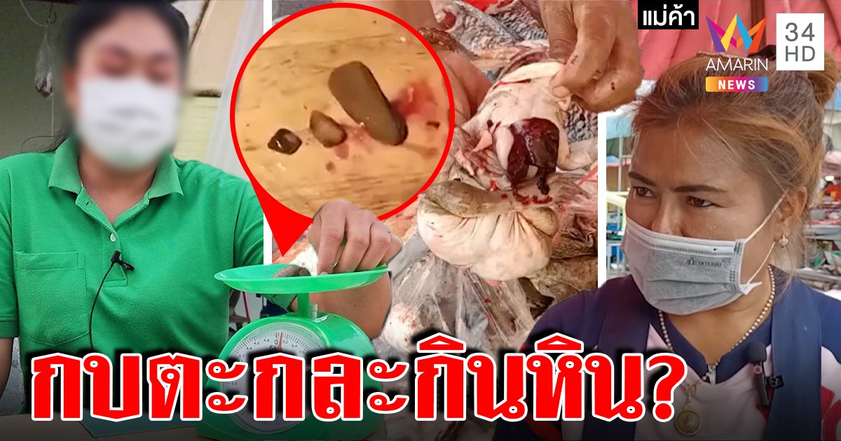 แม่ค้าโต้ยับยัดหินในไส้กบไม่บ้าโกง ลูกค้างงน้ำหนักหาย 1 ขีด “อ.เจษฎ์” เฉลยทำอึ้ง (คลิป)