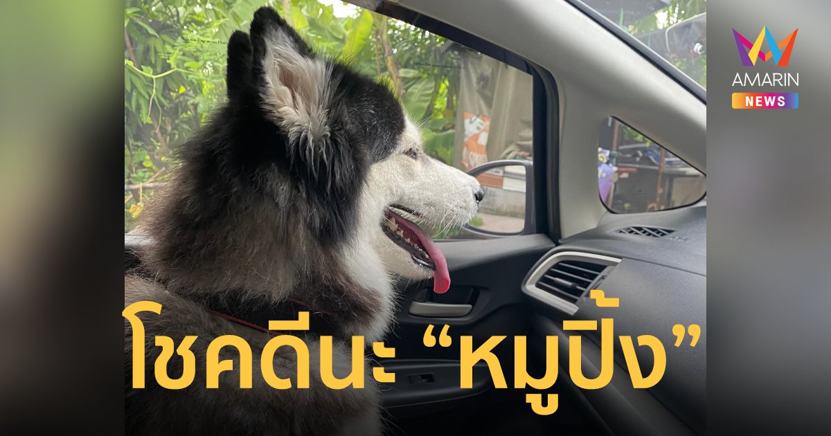 หนูเป็นใคร! หนุ่มจอดรถทิ้งขยะ กลับมาเจอ "ไซบีเรียน" นั่งลิ้นห้อยบนรถ