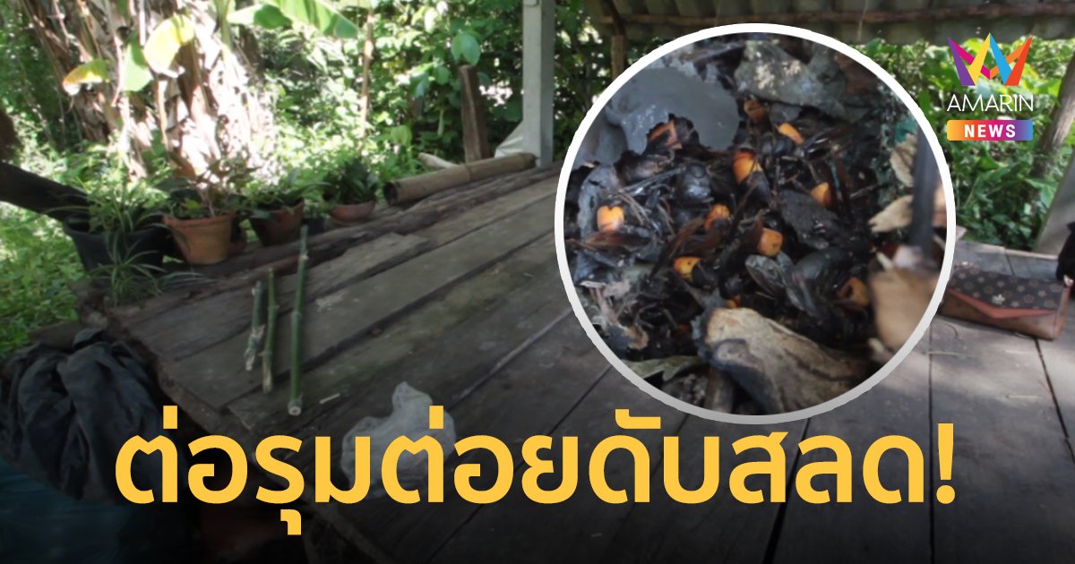 สลด! สาวป่วยโปลิโอ โดนทัพต่อหัวเสือรุมต่อย แพ้พิษรุนแรง เสียชีวิต
