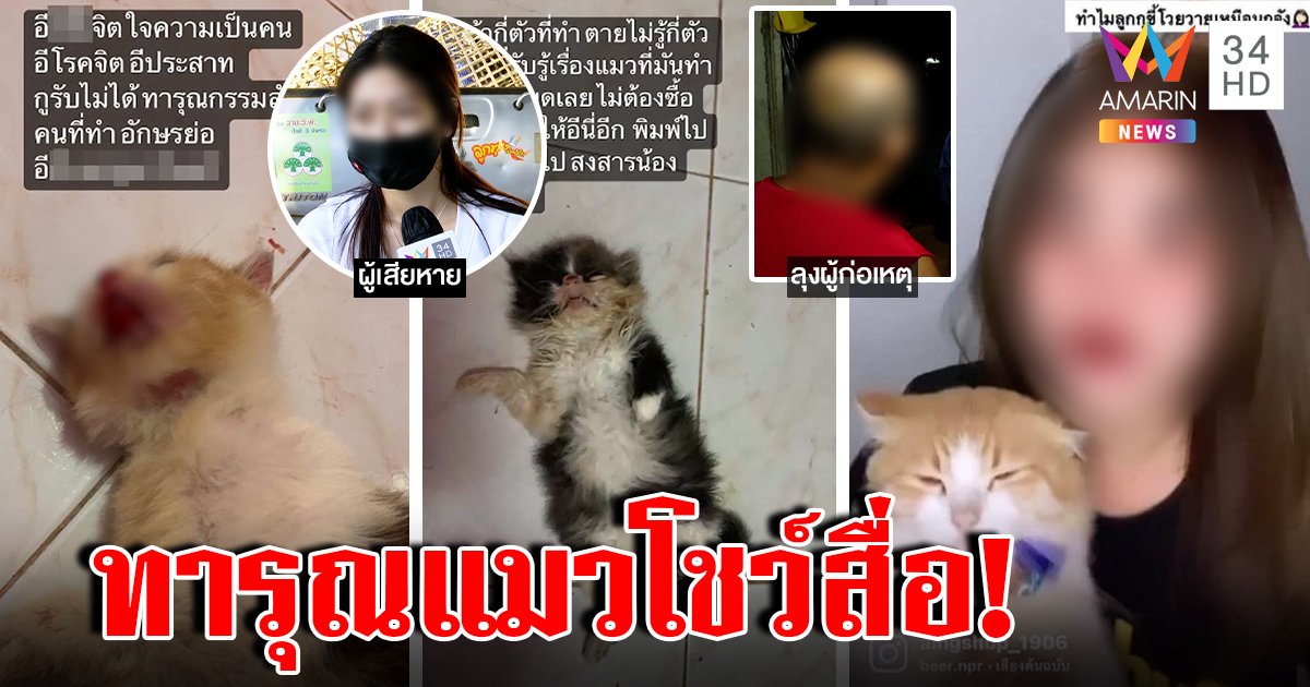 เพื่อนแฉวีรกรรมสาวเซลฟี่แมวไม่ได้ดั่งใจ ทุ่มใส่กำแพงตาย ญาติเผยหลานเผ่นหนีหลังก่อเหตุ (คลิป)