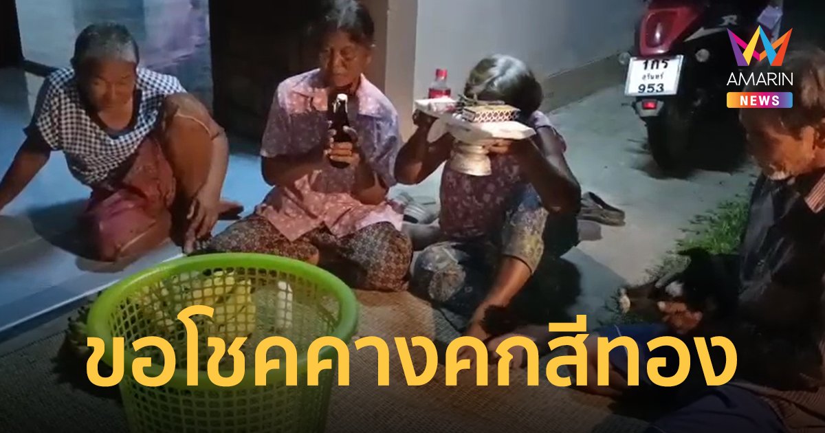 เลขเด็ด 1/9/65 คางคกสีทอง ชาวบ้านเชื่อมาให้โชค จับหงายท้องดูเลขเด็ด