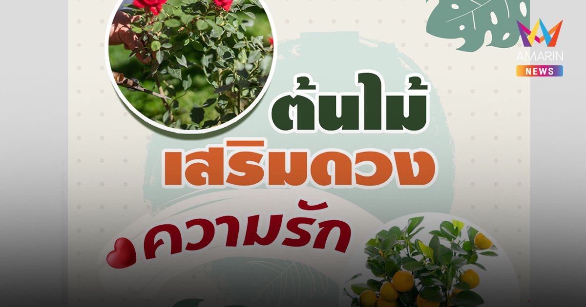 5 ต้นไม้มงคล เสริมเสน่ห์ กราฟความรักพุ่ง