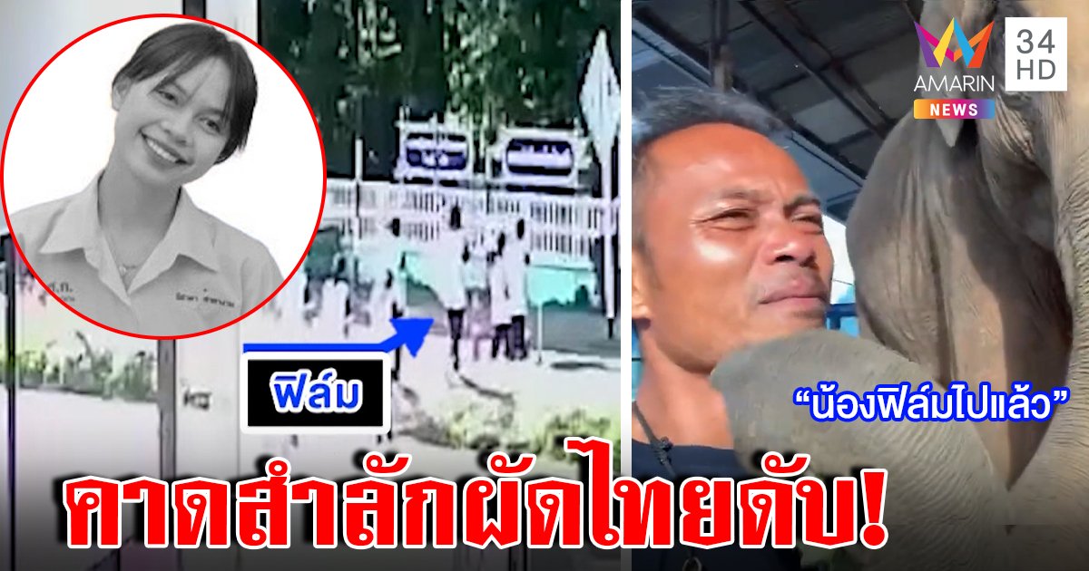 เปิดภาพ "น้องฟิล์ม" กินผัดไทย ก่อนดับในป่า เพื่อนคาดสำลักวิ่งหนีครู พ่อโฮบอกช้างลูกตาย (คลิป)