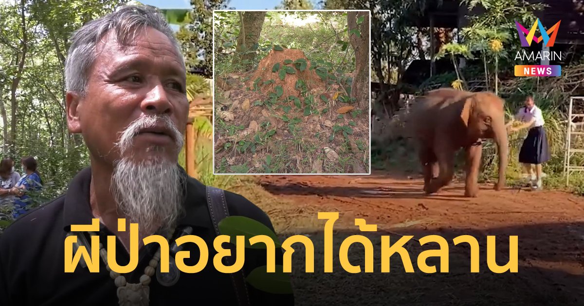 ตาเชื่อผีป่าอยากได้ "น้องฟิล์ม" ไปเป็นหลาน หลังเสียชีวิตปริศนาในป่าข้างโรงเรียน