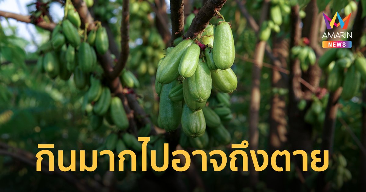 เตือน! รุ่นพี่รับน้องบังคับกิน "ตะลิงปลิง" ฉี่เป็นเลือด แพทย์เตือนเสี่ยงถึงตาย