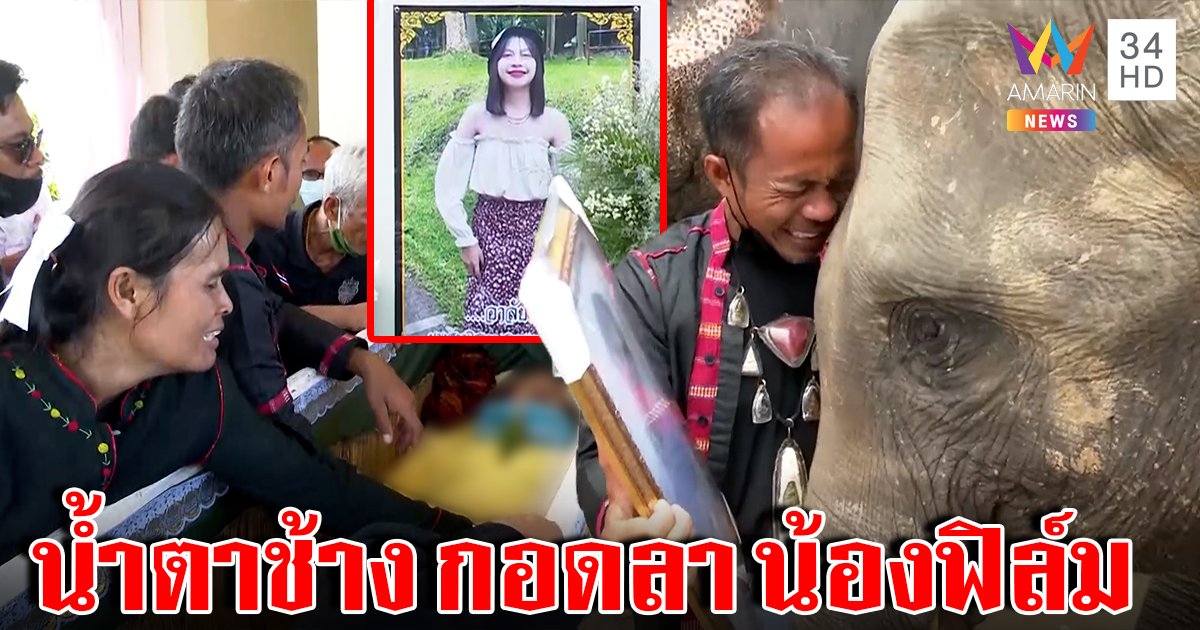 ช้าง "สุพรรษา" ซึมงวงกอดรูปน้องฟิล์มก่อนเผา ป้าถูกสิง-แม่เปิดโลงลาใจจะขาด (คลิป)