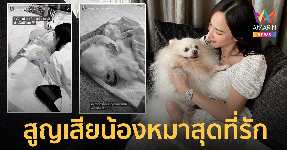 “อั้ม พัชราภา” เศร้า! สูญเสีย “พี่เติ้ล” น้องหมาสุดที่รัก