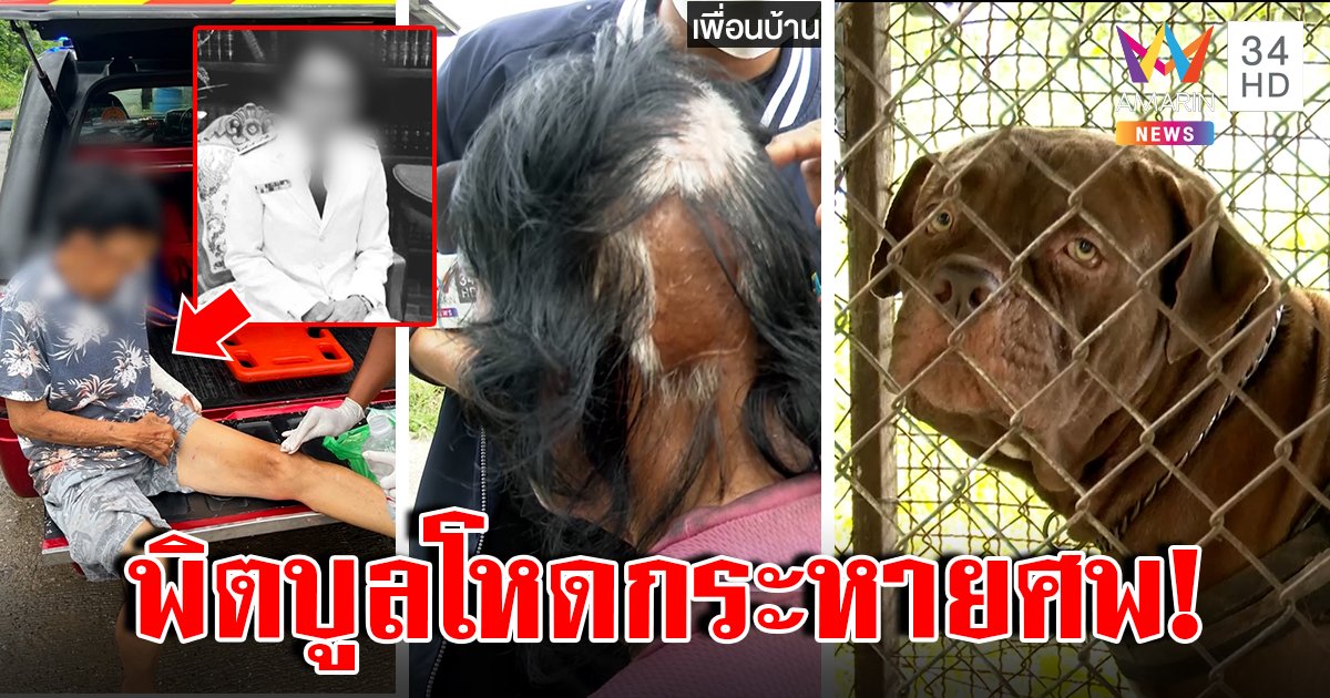 ผัวแค้นอยากยิงพิตบูลนรกฆ่าเมีย โคตรดุเพิ่งขย้ำขา-วันนี้ขย้ำคอ เหยื่อเก่ากะโหลกหาย (คลิป)