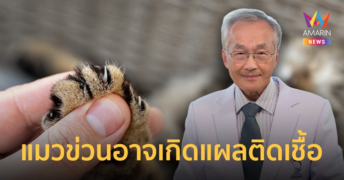 หมอมนูญเตือนทาสแมว ถูกกัดหรือข่วน เสี่ยง โรคสปอโรทริโคซิส หลังพบผู้ป่วย 3 รายใน 1 ปี