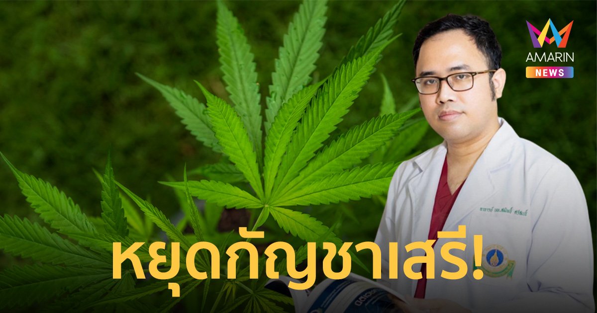แพทย์ เรียกร้องหยุด "กัญชาเสรี" ชี้ เป็นภัยคุกคามต่อสุขภาพของประชาชน