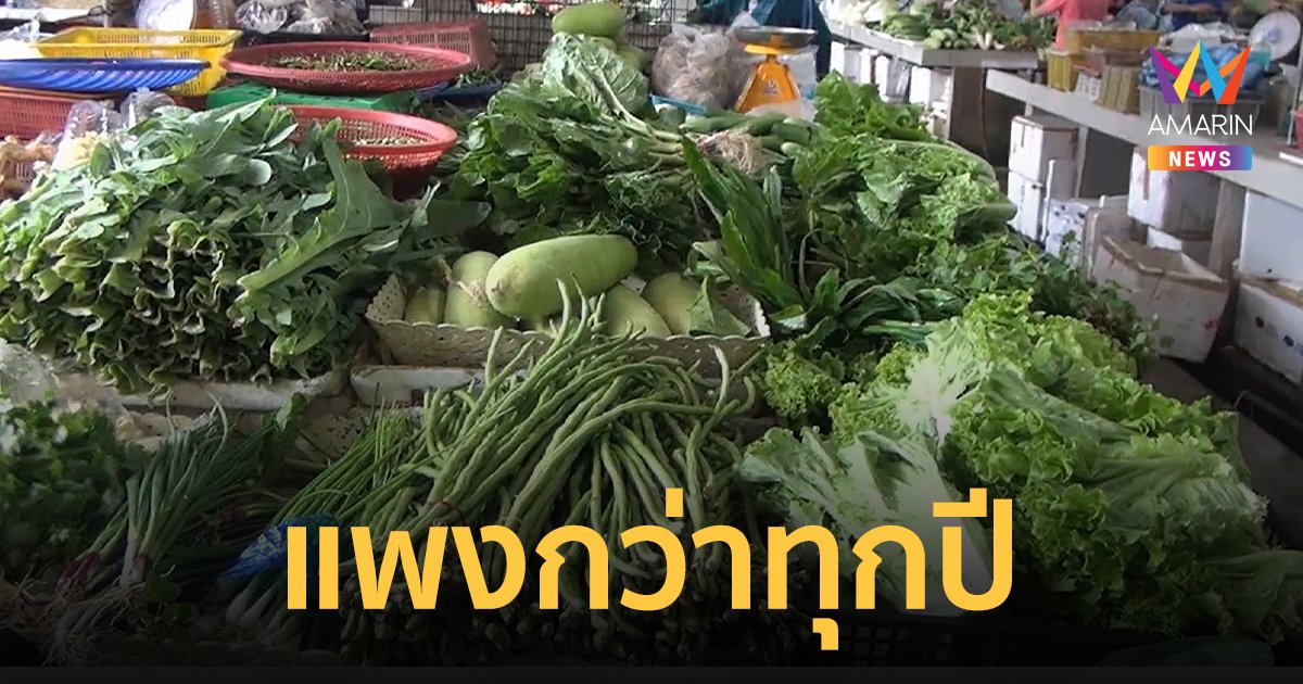 เช็กราคาผักก่อนเริ่มเทศกาล "กินเจ 2565" ผู้บริโภคบ่นอุบผักแพงกว่าทุกปี