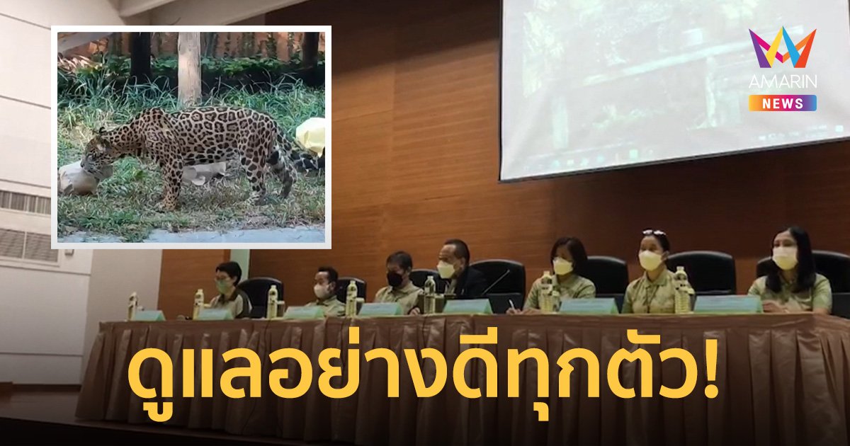 สวนสัตว์เชียงใหม่ แจงดราม่าปล่อยสัตว์ผอมโซ ยันดูแลสุขภาพทุกตัวอย่างดี