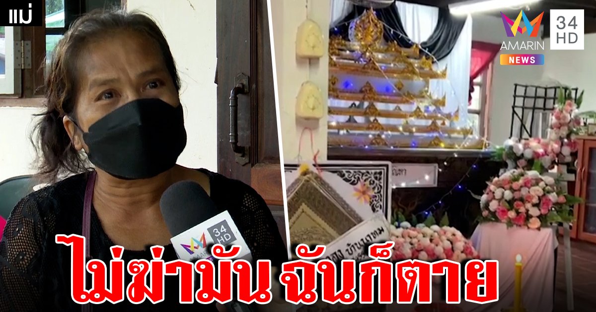 เหลืออด! พี่แทงดับน้องทาสยาไถเงินพี้ แม่โดนถีบตกแคร่ สะอื้นไร้เงินช่วยลูกออกคุก (คลิป)