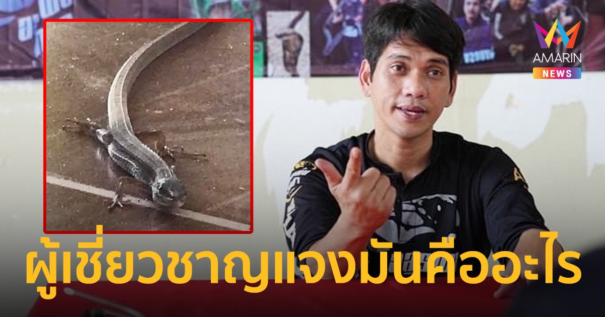 ผู้เชี่ยวชาญเฉลยสัตว์ประหลาดหางยาวคืออะไร??