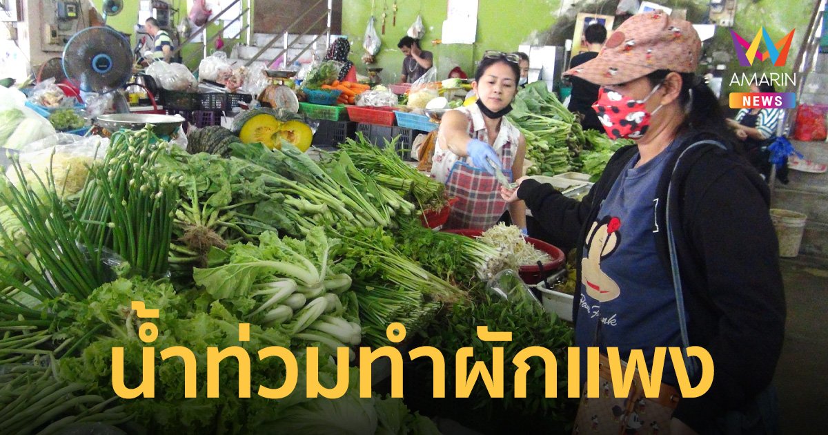 พิษน้ำท่วมทำผักแพงสุดในรอบ 10 ปี ผักบุ้งราคาดีดกิโลกรัมละ 140 บาท