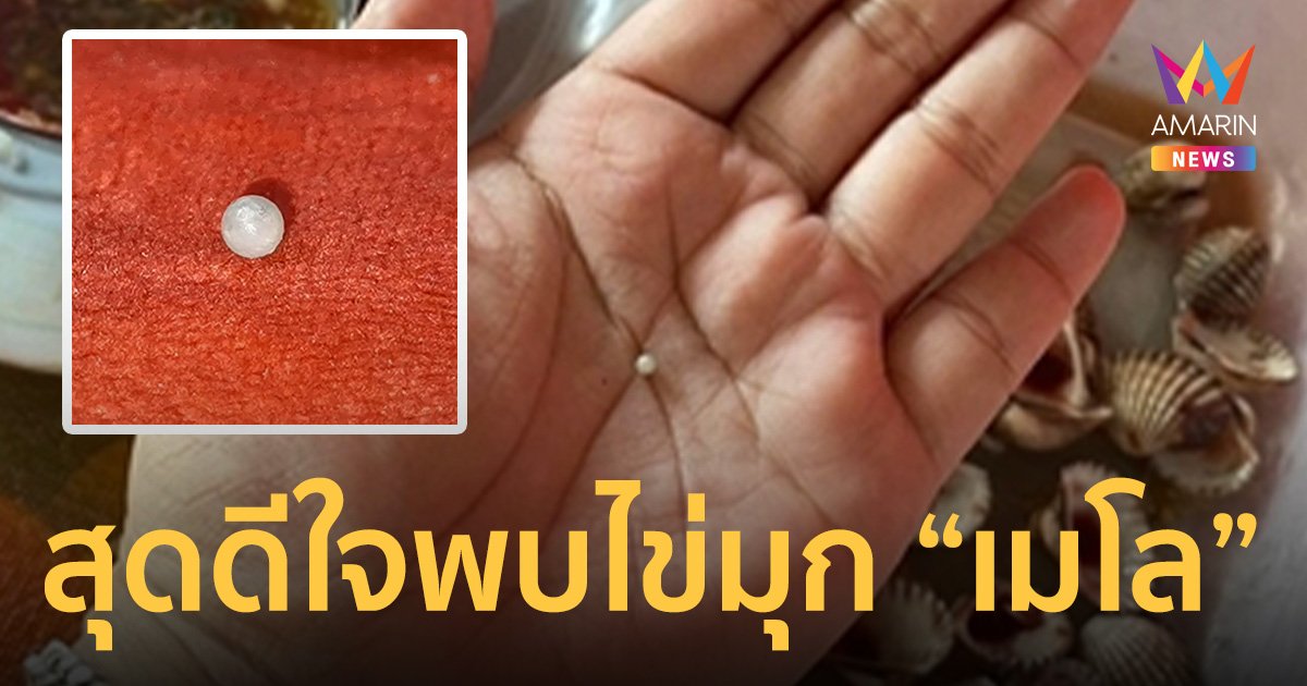 สาวเจ้าของร้านหมูย่างสุดดีใจ เจอไข่มุก "เมโล" ในหอยแครง