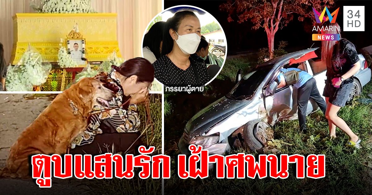 จ.ส.อ.ควบเก๋งชนต้นไม้ดับ “เจ้าจู๋” ตูบแสนรู้นั่งเฝ้าร่างไม่ห่าง เมียช็อกขับผ่านวนรถกลับมาช่วยไม่คิดเป็นศพผัว (คลิป)