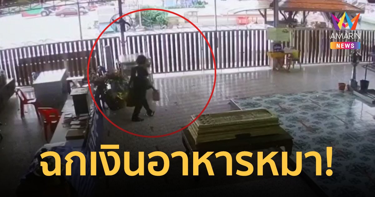 ชาวบ้านฉุน! โจรขโมยเงินตู้บริจาคอาหารหมา แมว กลางวันแสกๆ