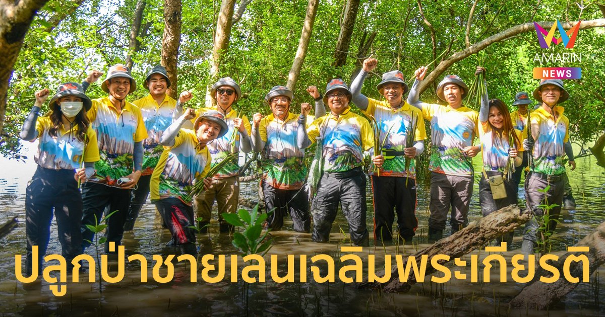 MEA รวมพลังจัดกิจกรรมปลูกป่าชายเลนเฉลิมพระเกียรติฟื้นฟูสภาพแวดล้อมอย่างยั่งยืน