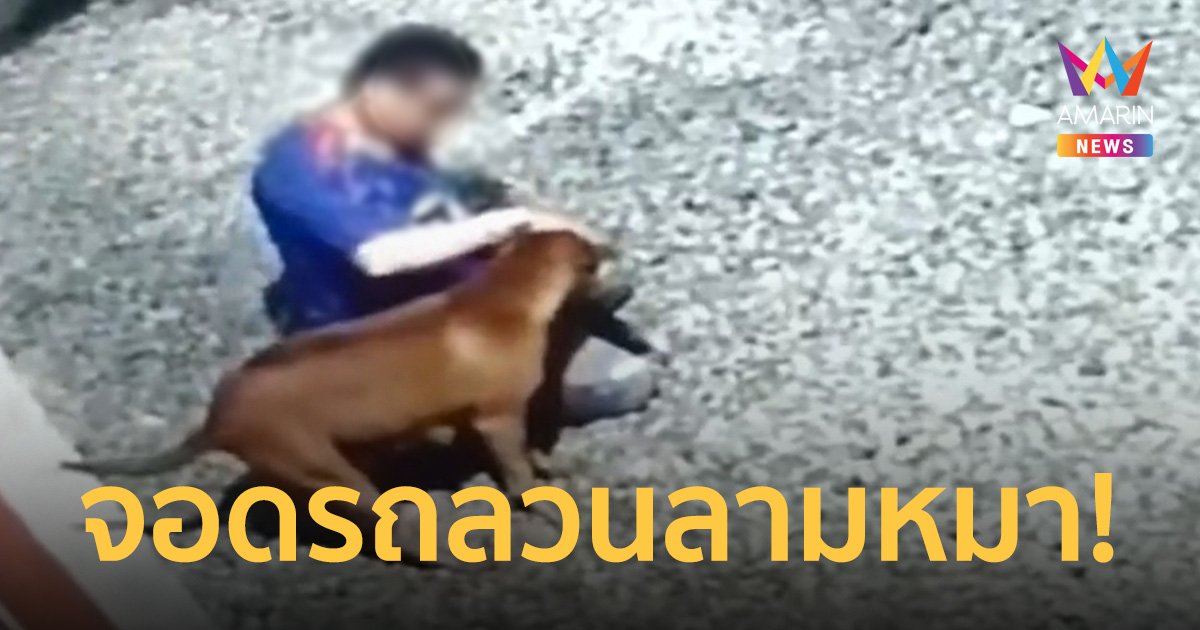 รวบหนุ่มวิตถารจอดกระบะ กอด จูบ เล่นอวัยวะเพศน้องหมาก่อนพยายามอุ้มขึ้นรถ
