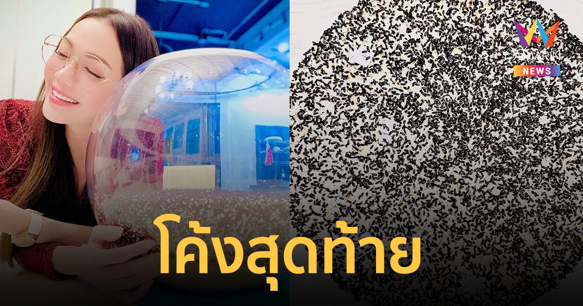เลขเด็ด น้องกระดิ่ง "อ๋อม สกาวใจ" จัดให้โค้งสุดท้าย!