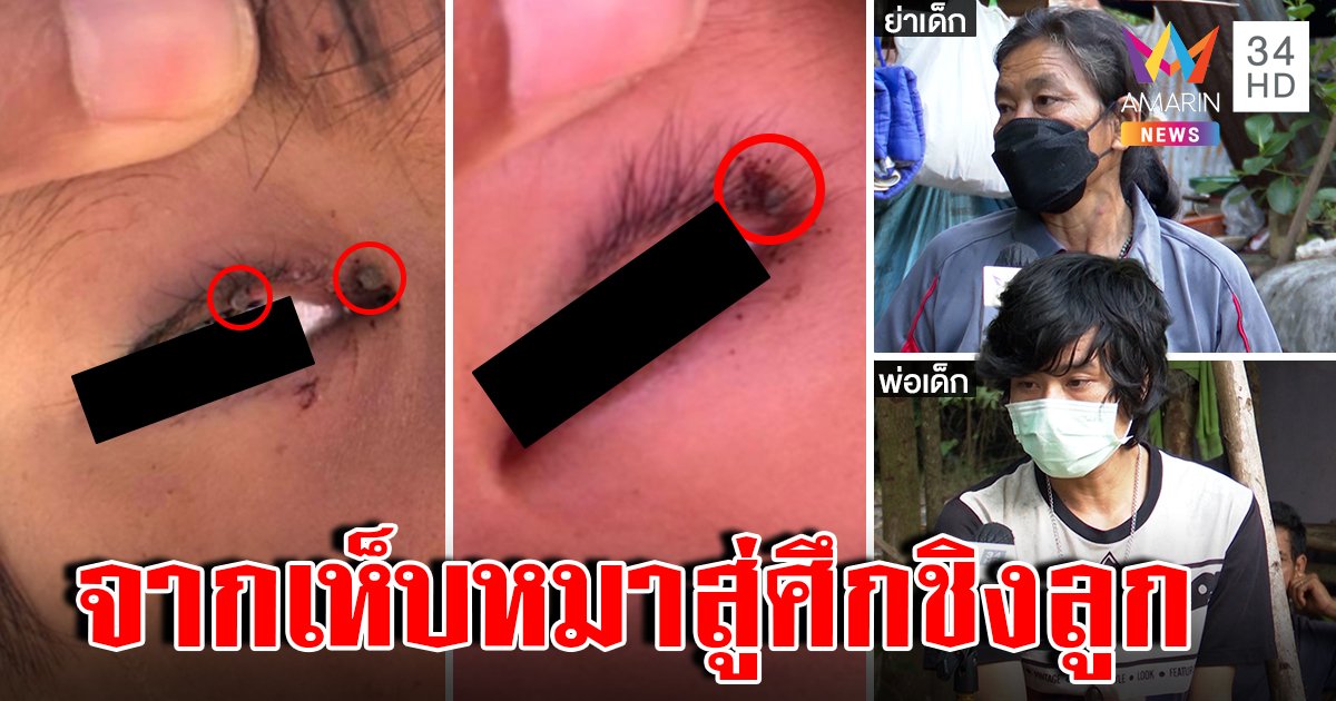 จี้ปวีณาคืนลูก! ฉะหูเบาใส่ร้ายเห็บหมากัดตาลูก แฉเมียเก่าหวังได้เด็กไปรับใช้ผัวใหม่ (คลิป)