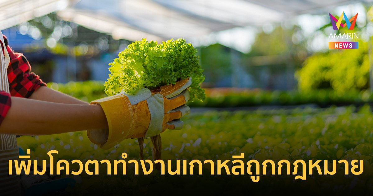 เพิ่มโควตาแรงงานไทยไปทำงานเกาหลี ปี 2566 เป็น 1.5 หมื่นคน เช็กรายละเอียด