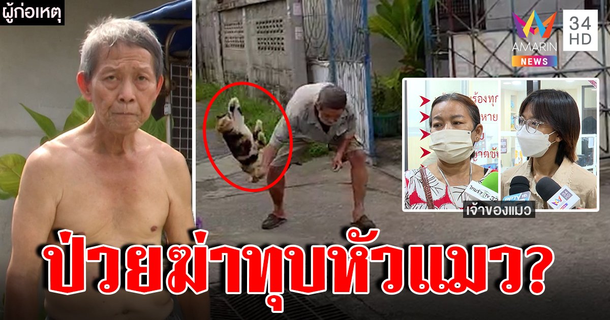 ลุงทุบหัวแมวลั่นต้องฆ่ากลัวโดนข่วน เจ้าของยันเอาผิด เมียโดดป้องผัวป่วย (คลิป)