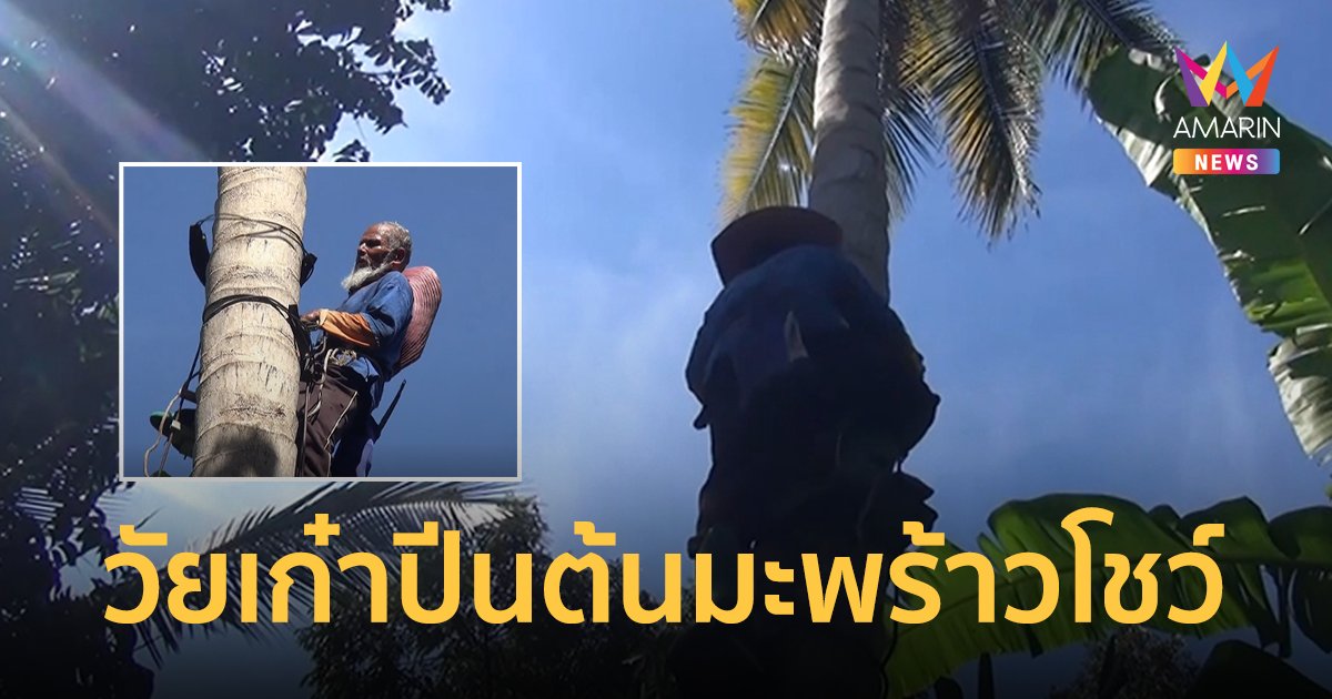 ตาวัย 70 สุดเก๋า! ปีนต้นมะพร้าวโชว์ เคยปีนสูงสุด 10 ต้นต่อวัน เผยเคล็ดลับวิธีดูแลสุขภาพ