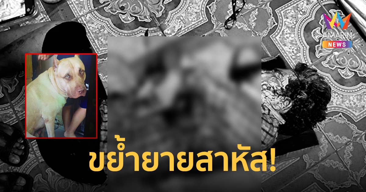 พิตบูลขย้ำโหด กัดเจ้านายเจ็บ 3 ยายวัย 70 ปีอาการสาหัส