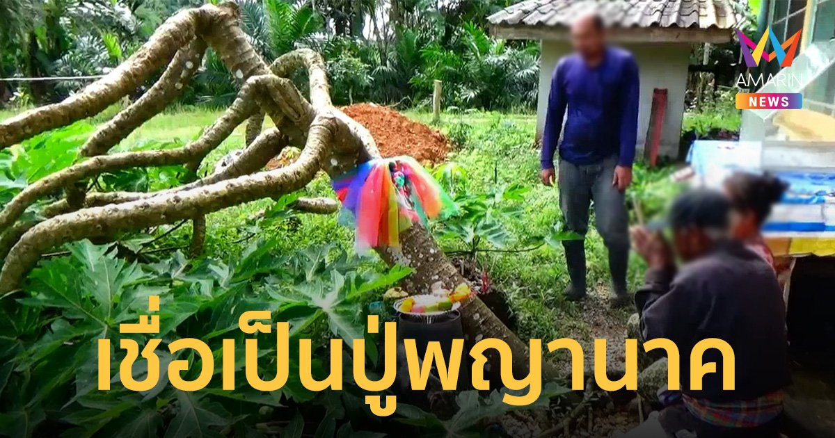 มาแล้ว! มะละกอ 8 กิ่ง เผยเลขเด็ดงวด 16 ธ.ค. เจ้าของโวชวดรางวัลแค่สองครั้ง