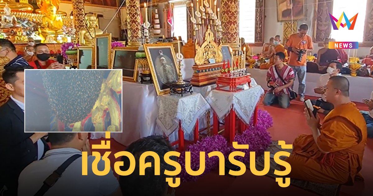 ผึ้งหลวงแตกรัง! หน้าวิหารขณะประกอบพิธีปลุกเสกเหรียญครูบาศรีวิชัย