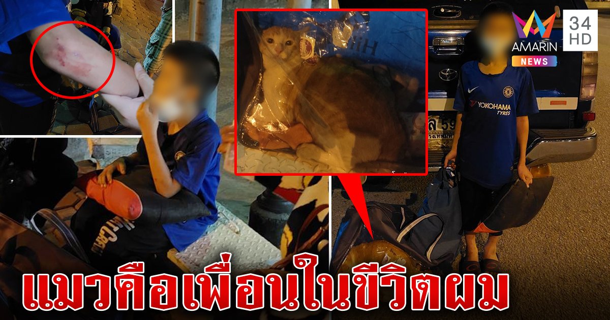 ตะลึงเด็ก 9 ขวบทะเลาะพ่อหนีออกจากบ้านพร้อมแมว กู้ภัยเจอแผลส่งคืนยาย (คลิป)