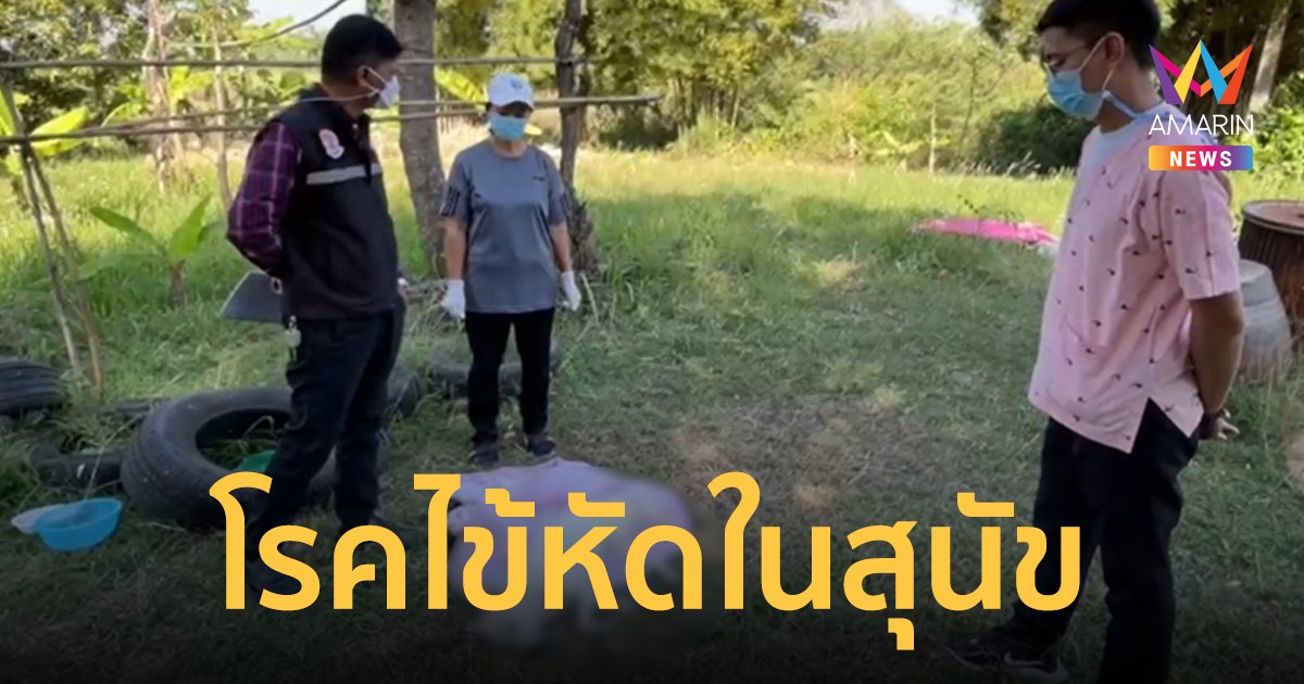 โรคไข้หัดสุนัขระบาด! หลังสุนัขจรจัดทยอยตายปริศนา หากติดเชื้อโอกาสรอดน้อย