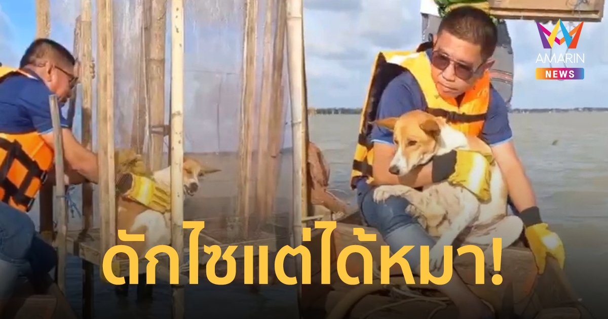 มิติใหม่แห่งการหาปลา! ดักไซแต่ได้หมา คาดถูกน้ำพัดมาช่วงฝนตกหนัก