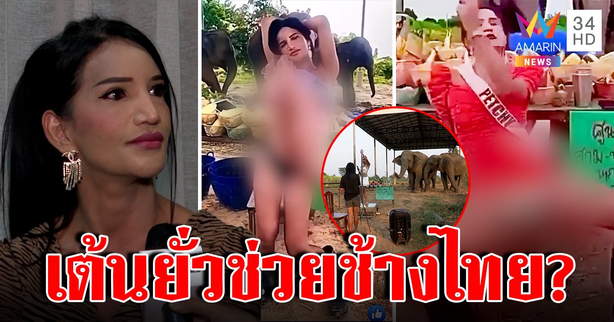 เปิดใจ! เพชร ปากปลาร้า ไลฟ์เต้นยั่วหวังช่วยช้างปัดอมเงินบริจาค ตร.สั่งหยุด (คลิป)
