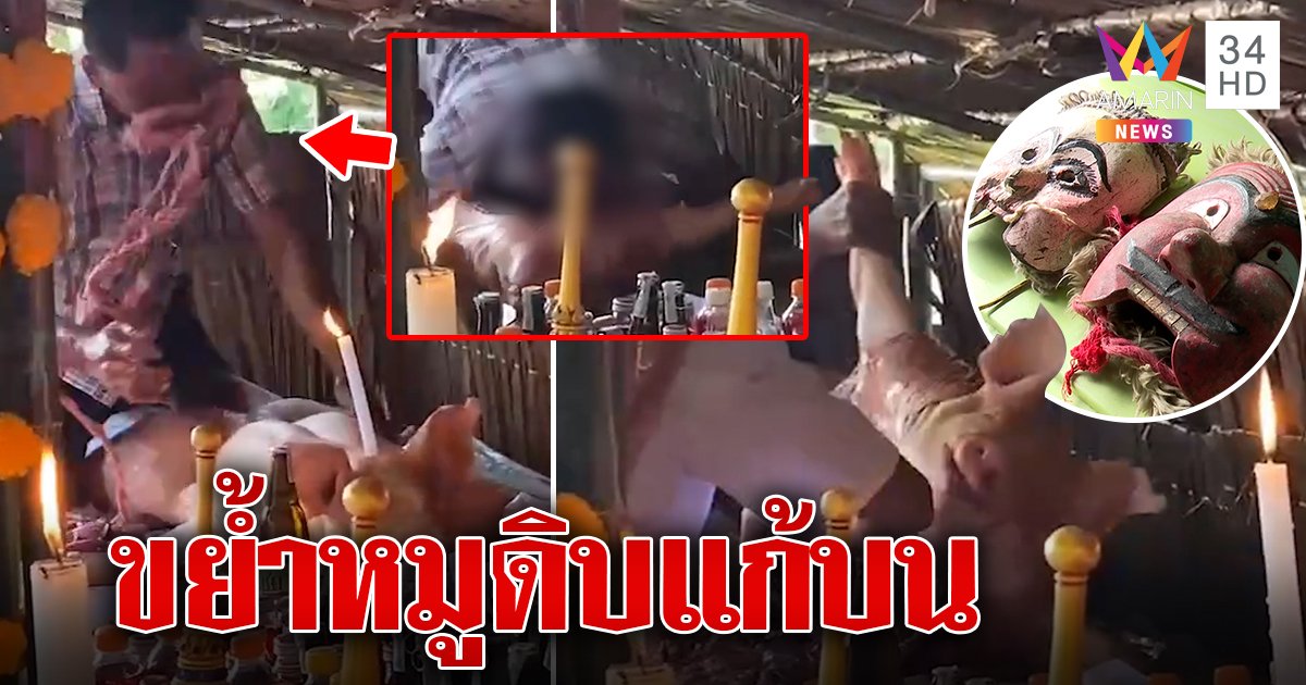 เฉลยพิธีกรรมหลอนกินไส้หมูสดสังเวยทวดโนราแก้บน หมอห่วงเชื้อรุม (คลิป)