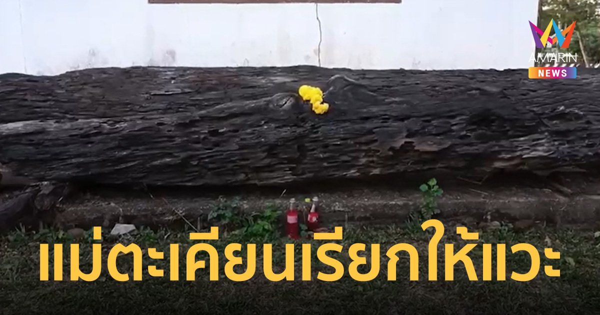 ขนลุก! แม่ตะเคียนเรียกสาวมีองค์แวะทำบุญ ชาวบ้านเผยมีคนเคยได้โชคนับแสน