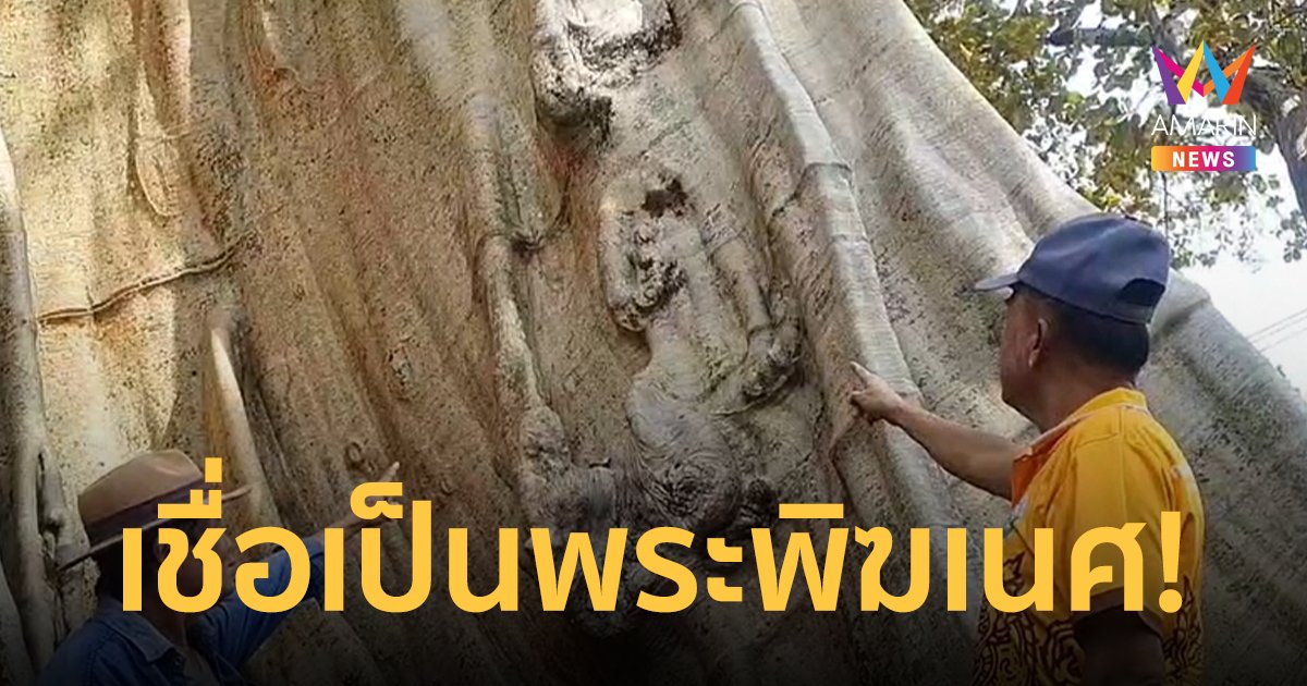 ฮือฮา! พระพิฆเนศโผล่กลาง ต้นเรืองโบราณอายุกว่า 500 ปี