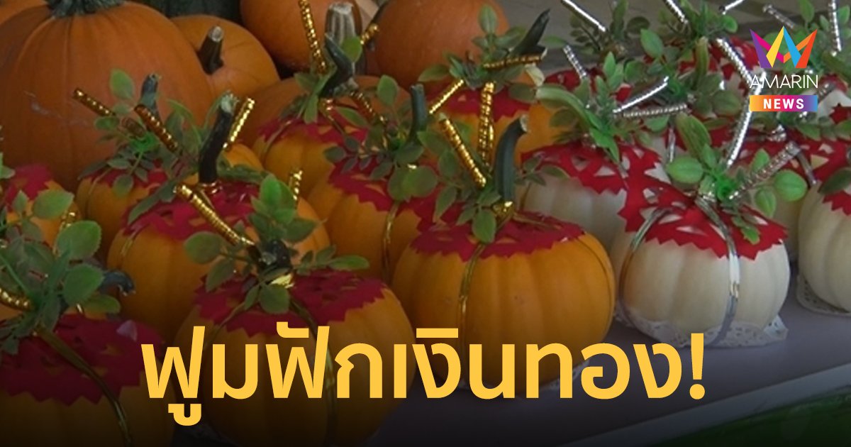 ฟักทองแฟนซีของไหว้มงคลขายดีรับตรุษจีน ขาดตลาดหลายแสนลูก!