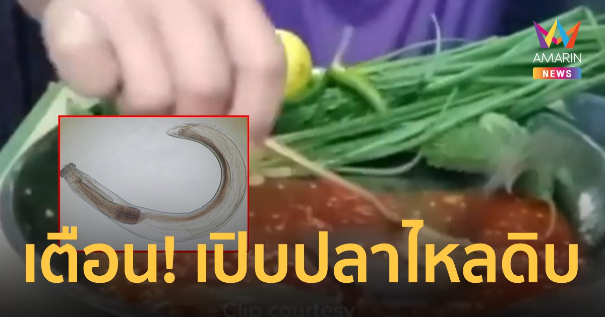 ผู้เชี่ยวชาญเตือน! เปิบปลาไหลดิบเสี่ยงพยาธิตัวจี๊ด อันตรายถึงชีวิต!