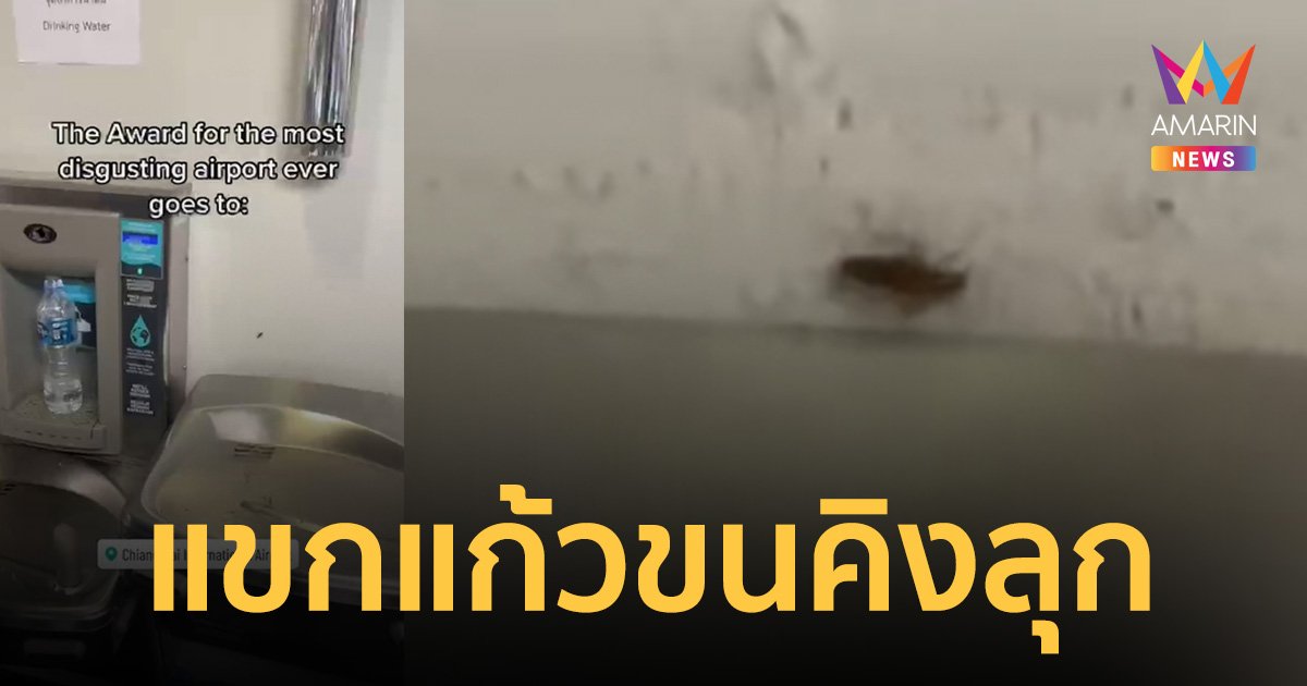 "สนามบินเชียงใหม่" แมลงสาบโผล่ฮัลโลเวลคัม ต่างชาติแคปชั่นฟาดหน้าชา