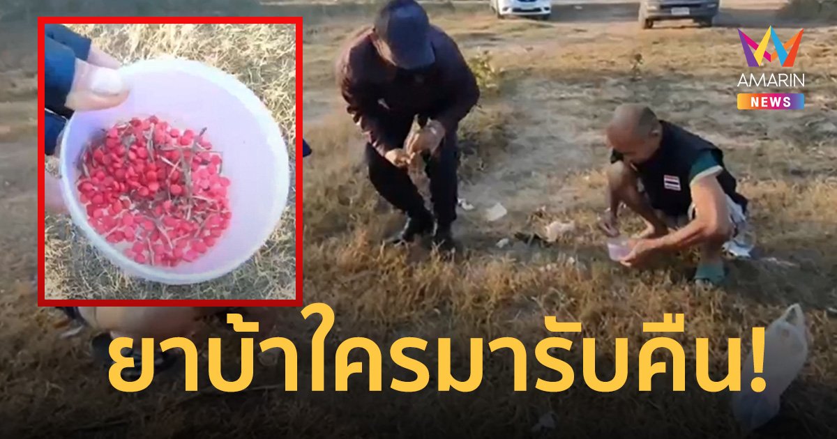 ยาบ้าใครมารับคืน! หมากัดแทะห่อ คิดว่าเป็นขนม กระจัดกระจาย 1,400 เม็ด